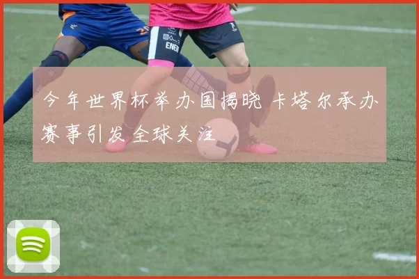 今年世界杯举办国揭晓 卡塔尔承办赛事引发全球关注