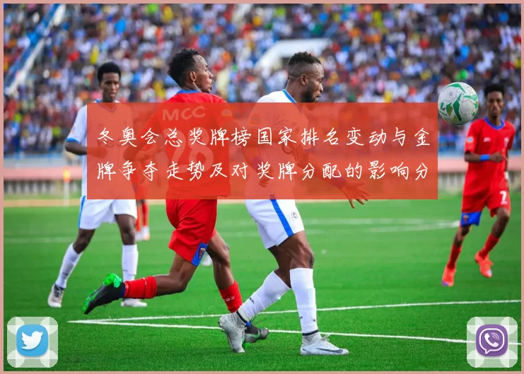 冬奥会总奖牌榜国家排名变动与金牌争夺走势及对奖牌分配的影响分析