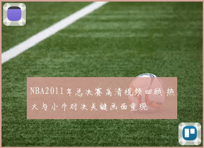 NBA2011年总决赛高清视频回顾 热火与小牛对决关键画面重现