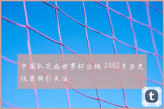 中国队完成世界杯出线 2002年历史性晋级引关注