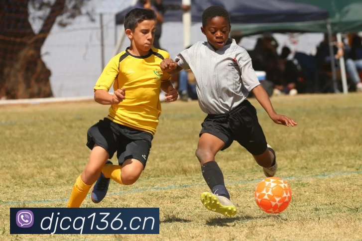 App Interface Preview